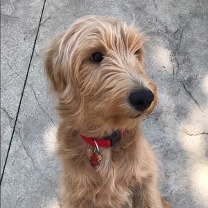 Meet your Posher, Victoria